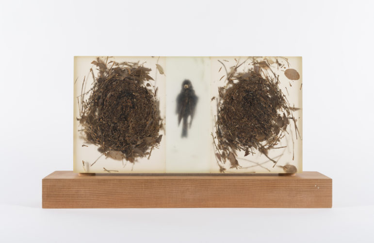 Mayme Kratz, Solo Flight, 1995. Cast resin, found objects, wood, 12 x 22 x 6 inches. Collection of Scottsdale Museum of Contemporary Art.