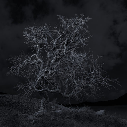 Kelly Richardson, Pillars of Dawn IV, 2015. Chromogenic, 40 x 40 inches. Collection of Scottsdale Museum of Contemporary Art, gift of the artist, 2016.003. © Kelly Richardson.