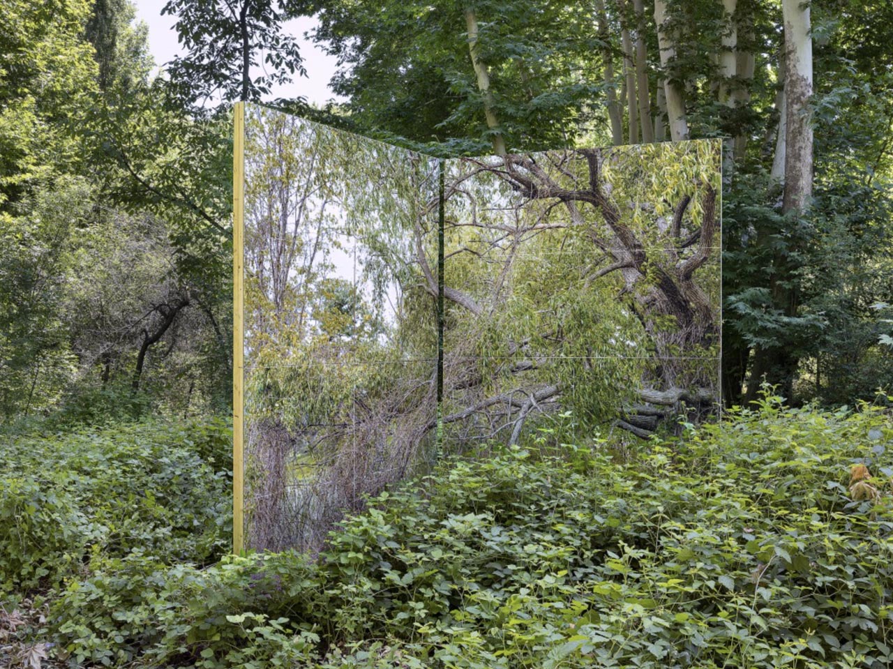 Gohar Dashti, Land/s, 2019; archival inkjet print. Courtesy of the artist.