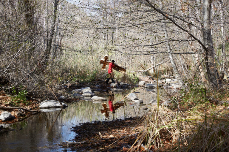 bring watergrass, carefully prepared