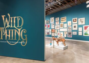 Museum Musings: Exhibition Throwback | Wild Thing