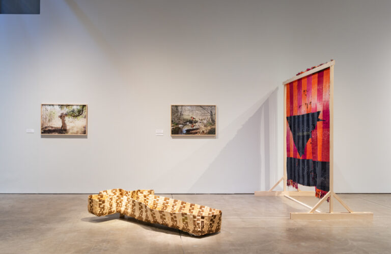 Installation view of Diedrick Brackens: ark of bulrushes