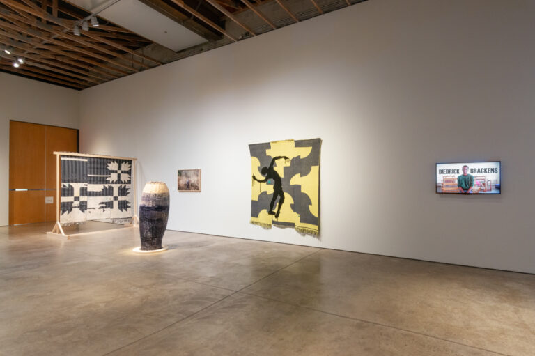 Installation view of Diedrick Brackens: ark of bulrushes